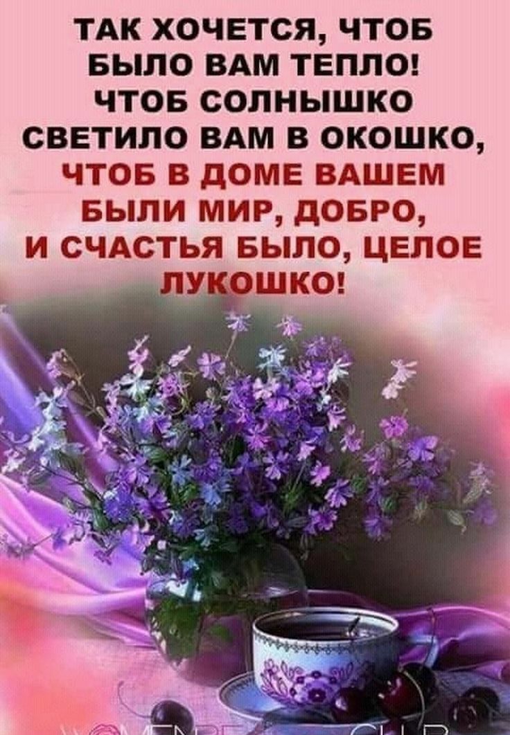 тдк хочется чтов БЫЛО ВАМ тепле чтов солнышко светило ВАМ в окошко что в доме ВАШЕМ выпи миг довго и идти БЫЛО целое шкоя