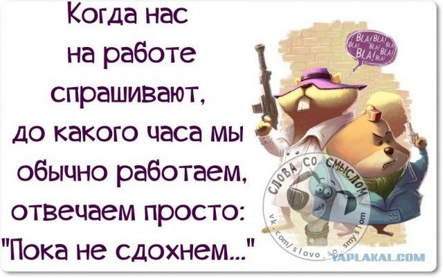 Когда нас на работе спрашивают до какого часа мы обычно работаем отвечаем просто РЧ дк Пока не сдохнем