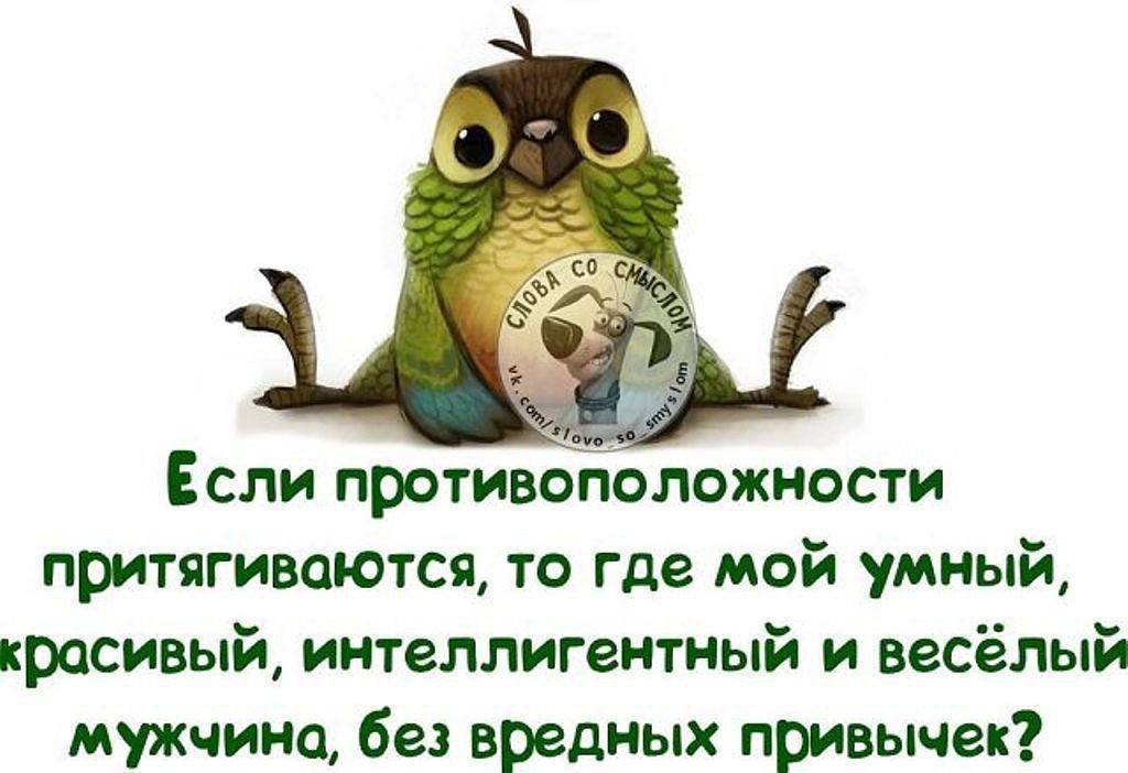Если противоположности притягиваются то где мой умный красивый интеллигентный и весёлый мужчина без вредных привычек