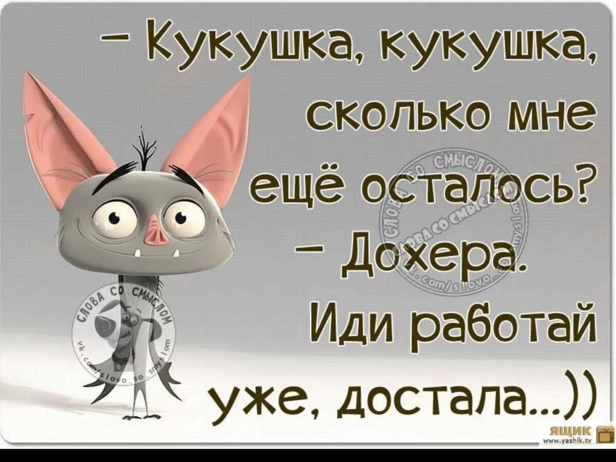 кукушка кукушка _ сколько мне ещё осталось ДОХерад ддЁЁ иди работай 753 уже досталар
