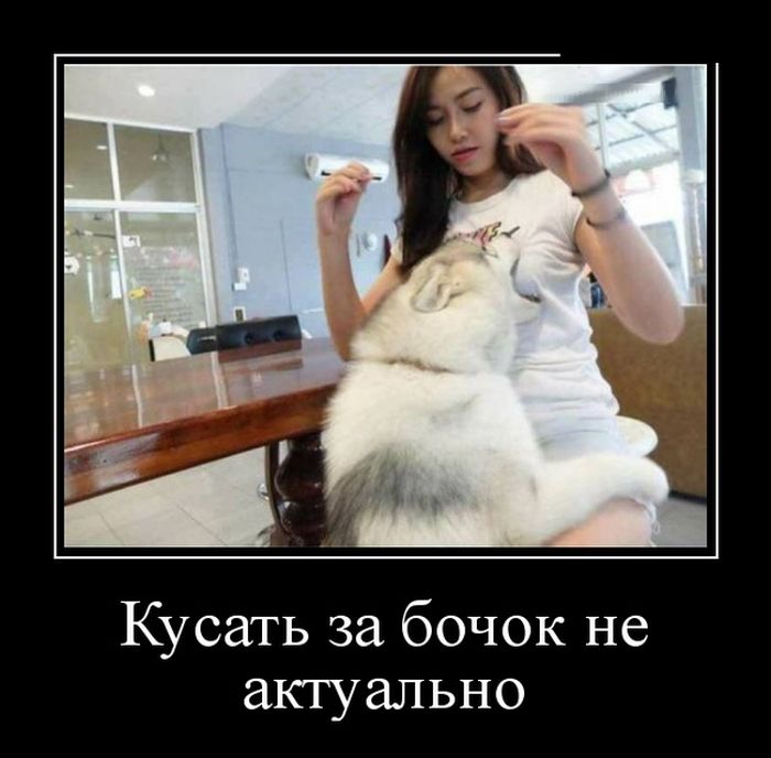 Кусать за бочок не актуально