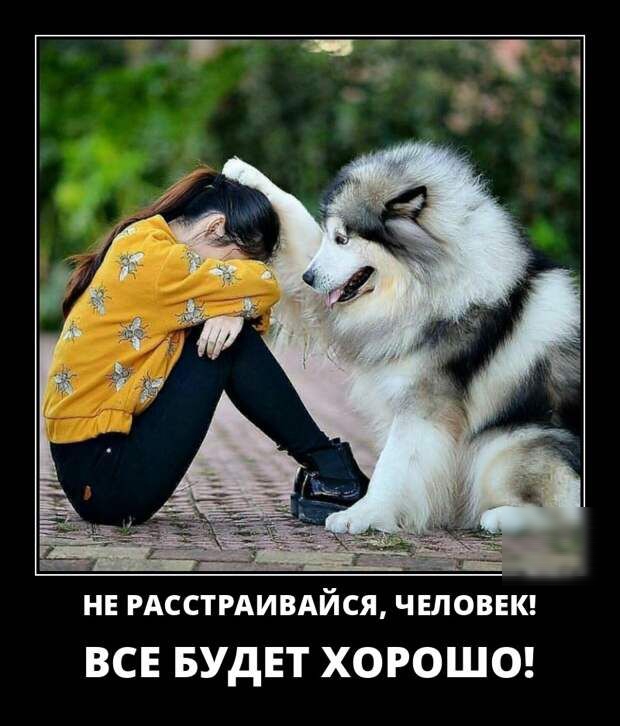 НЕ РАССТРАИВАЙСЯ ЧЕЛОВЕК ВСЕ БУДЕТ ХОРОШО