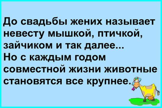 До свадьбы жених называет невесту мышкой птичкой зайчиком и так далее Но с каждым годом совместной жизни животные становятся все крупнееЁ