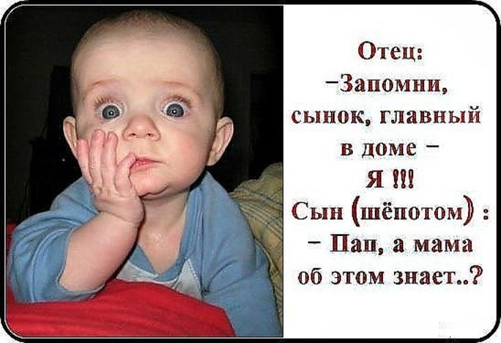 Отец Запомни сынок главный в доме Я Сын шёпотом Пап а мама об этом знает