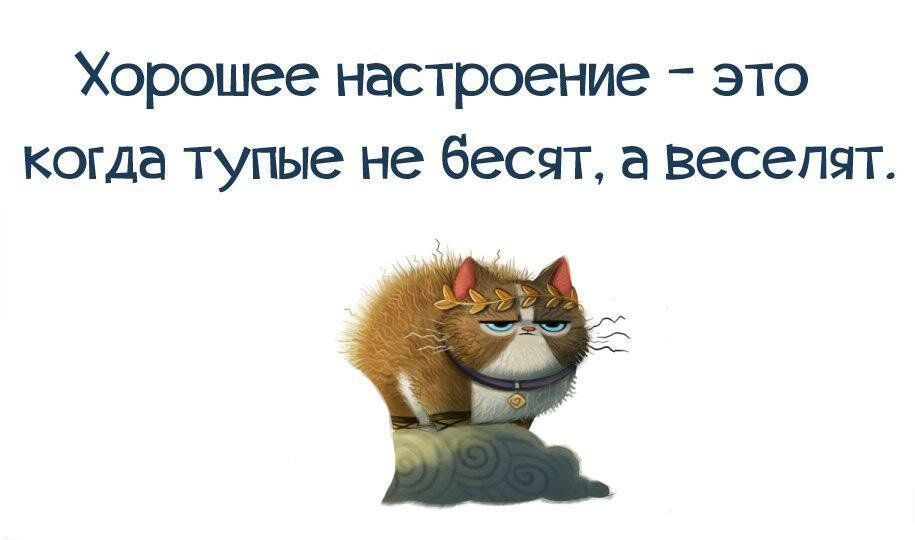 Хорошее настроение это когда тупые не бесят а веселят