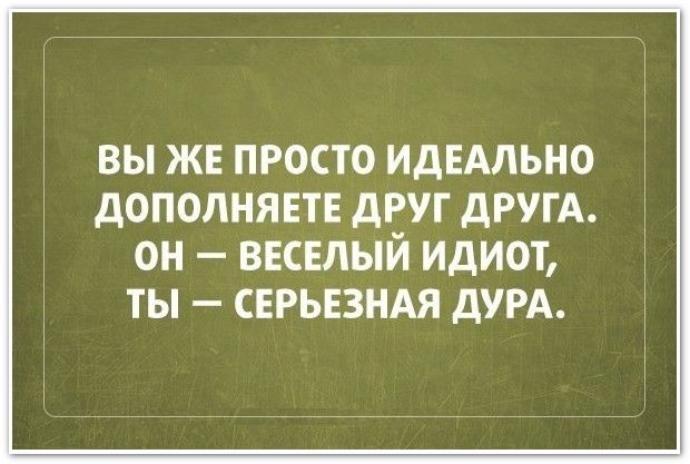 ВЫ ЖЕ ПРОСТО ИДЕАЛЬНО дОПОЛНЯЕТЕ дРУГ ДРУГА он веселый Идиот ты серьвзндя дум