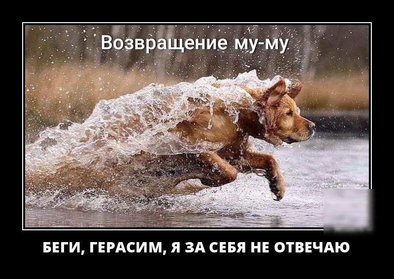 БЕГИ ГЕРАСИМ Я ЗА СЕБЯ НЕ ОТВЕЧАЮ