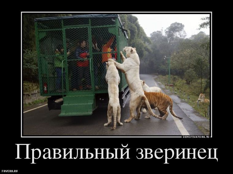 Правильный зверинец