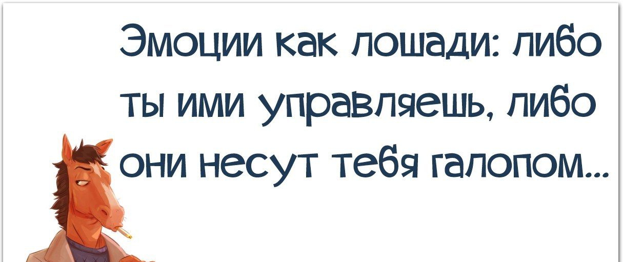 Эмоции как лошади пибо ты ими управляешь либо они несут тебя галопом