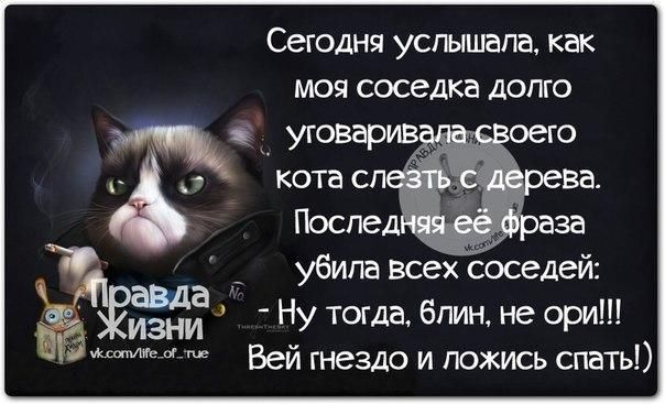 Сегодня услышала как моя соседка долго уговарив убила всех соседеи а _ изни іу тогда блин не ори Веи гнездо и ложись спать