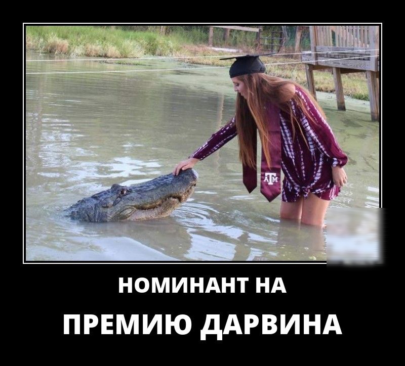 номинднт НА ПРЕМИЮ дАРВИНА