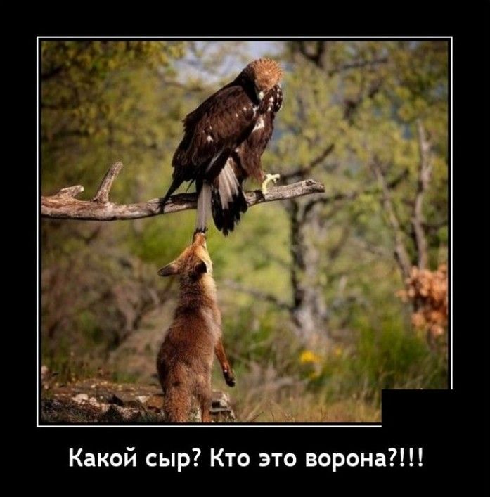 Какой сыр Кто это ворона