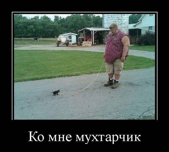 Ко мне мухтарчик