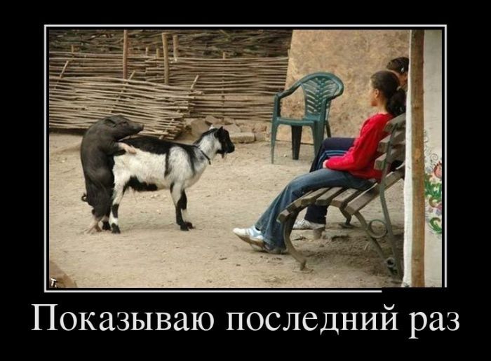 Показываю последний раз