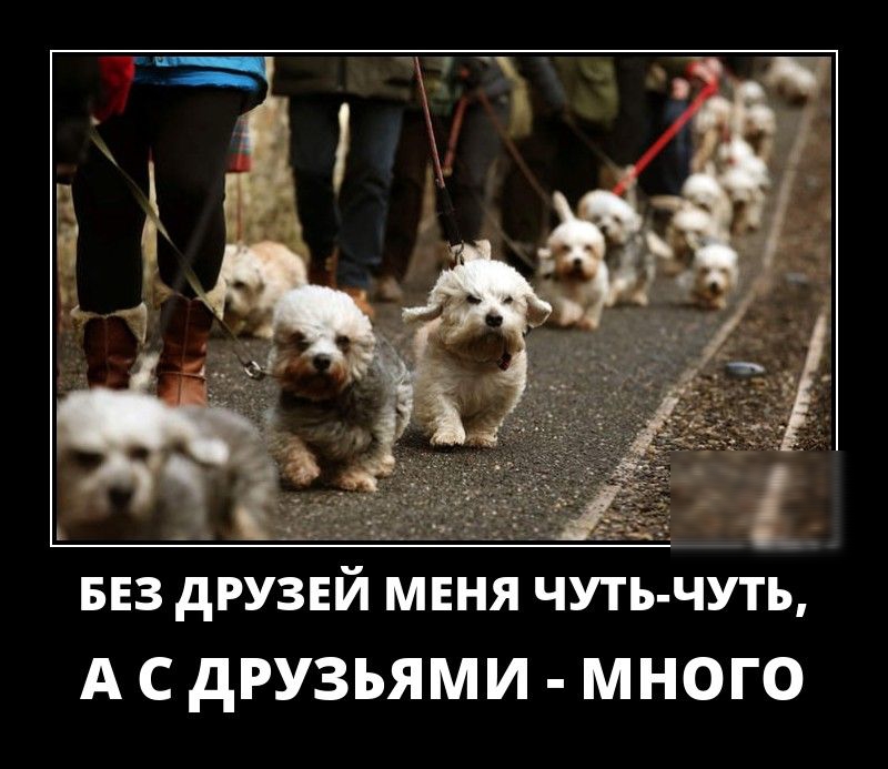ь Ё БЕЗ друзнй мння чуть чуть А С дРУЗЬЯМИ МНОГО