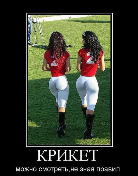 КРИКЕТ МОЖНО СМОТРЭТЦНЭ ЗНаЯ ПРЗВИП