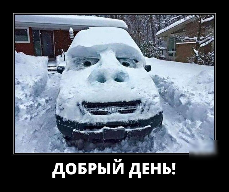 доврый дЕны