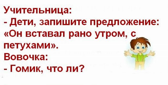 Учительница дети запишите предложение Он вставал рано утром с петухами Вовочка Гомик что ли и