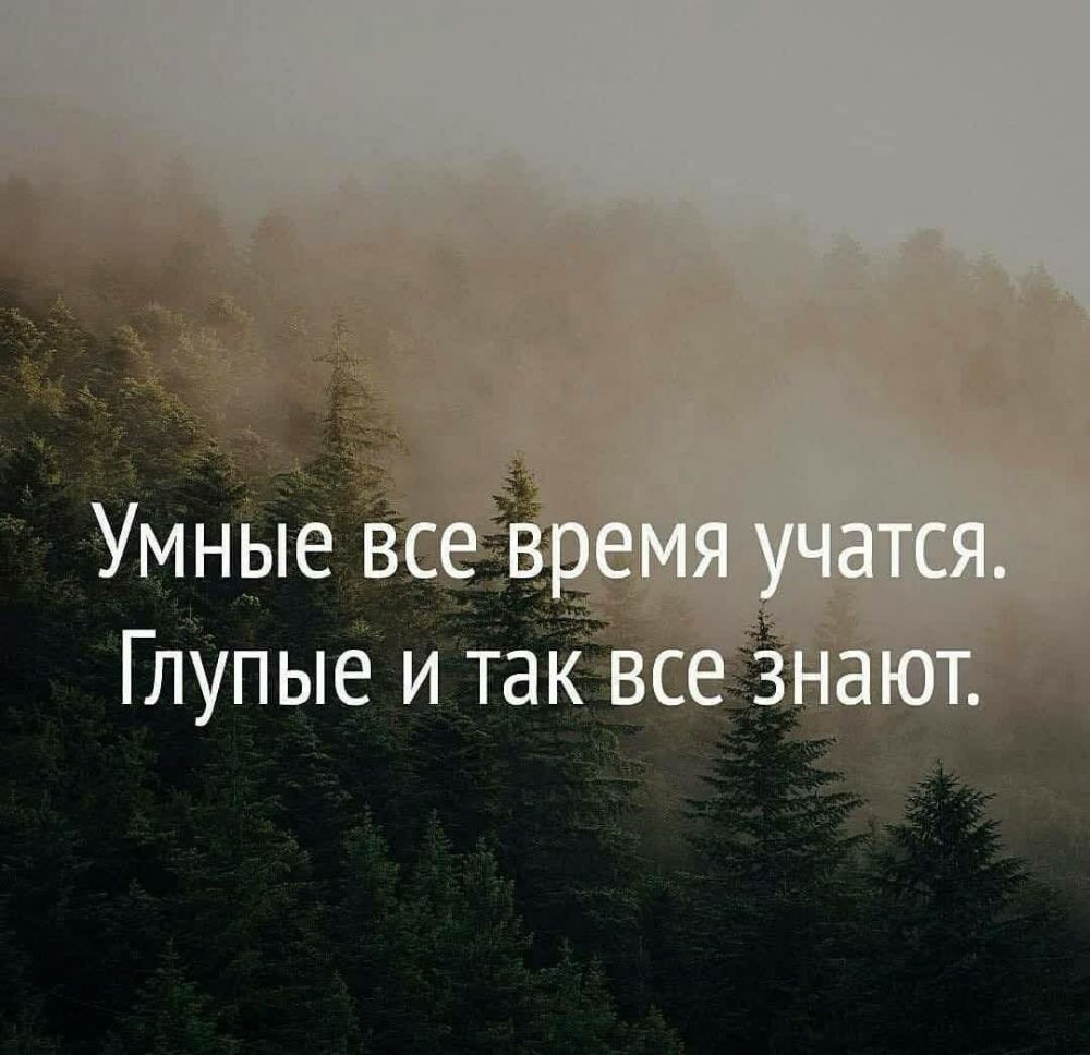 Умные Глупые и так всё