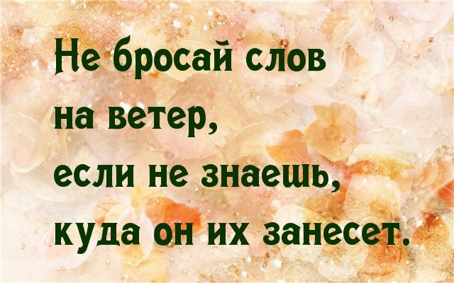 ЁЁбрреайЪЛов на ветер если не знаеЁьтт купа ЗЗЁЁСЁЁ