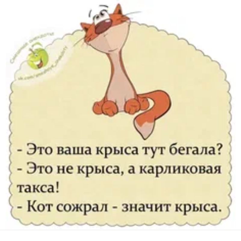 Это ваша крыса тут бегала Это не крыса а карликовая _такса _ кт сожрал значит крыса _