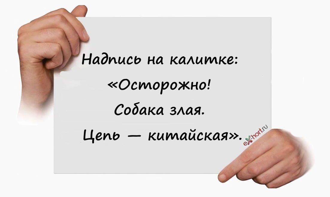 Надпись на шишке Осторожно Собака злая Цепь китайская 5