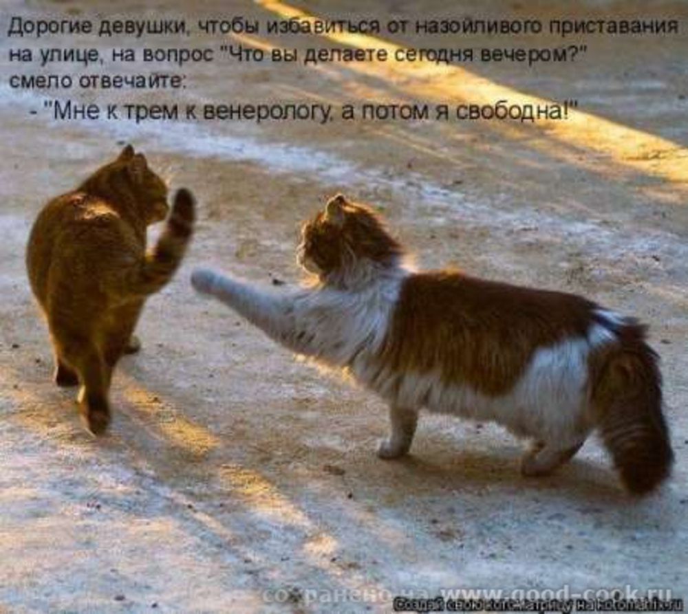 из улиц вопросчм целче смппо твечаитв Мне прем ищеттгмагтщя