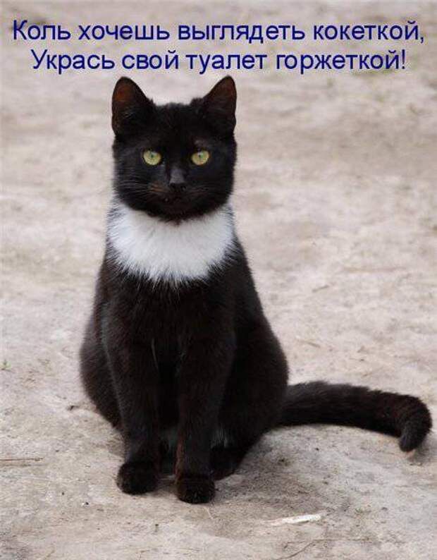 КбПЬ хочешь выгпядеть кокеткай Укрась свой туалет горжеткой