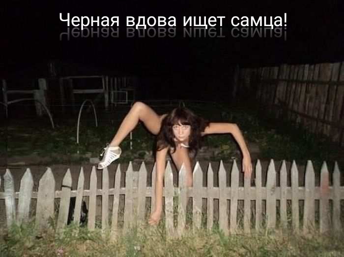 ЧЁРНЁЯ ЁДЧЁЁ ИЩЁТ СЁМЦЁ ННЦ