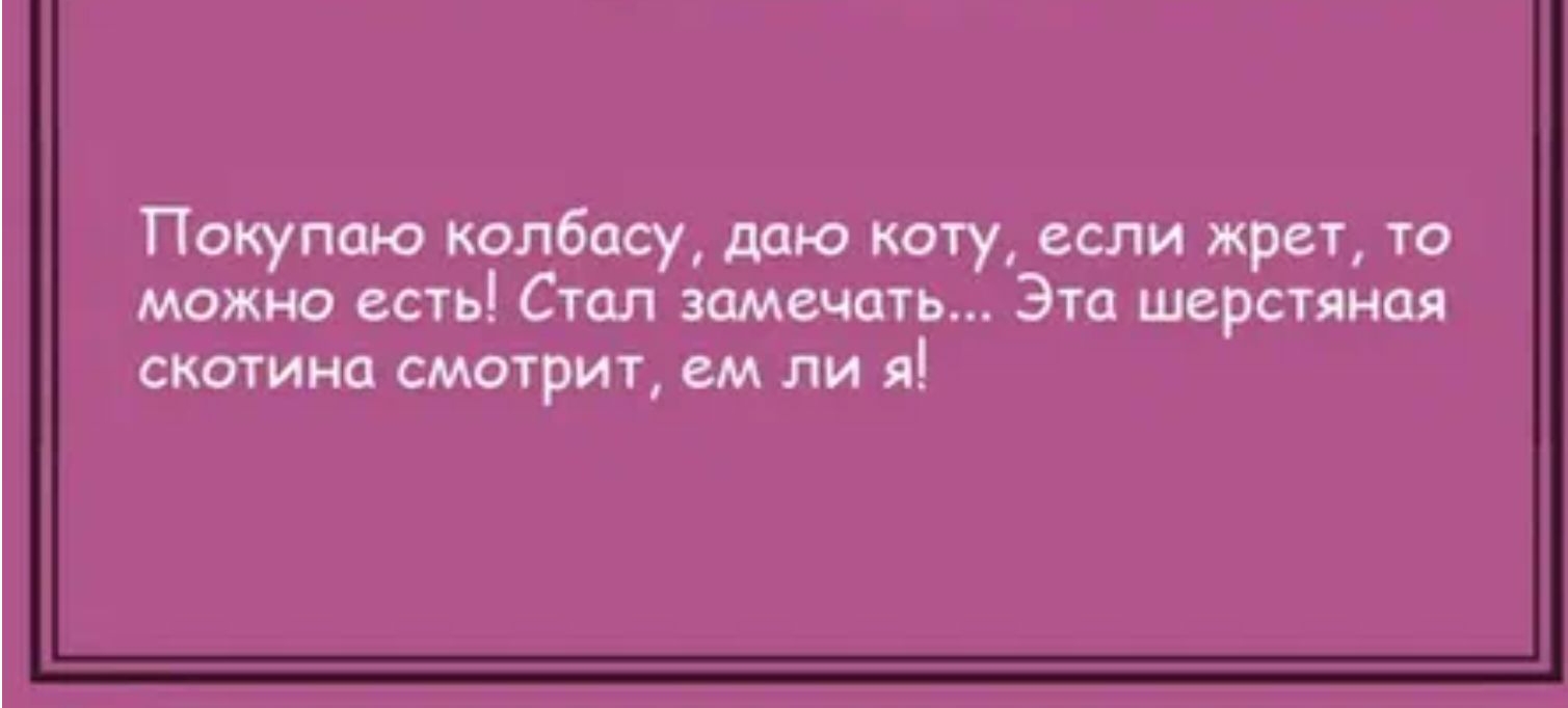 Поюпм капбму мю коту если жрвт то можно осп Стал амечат Эта шерспим скотина мпгрит вм ли