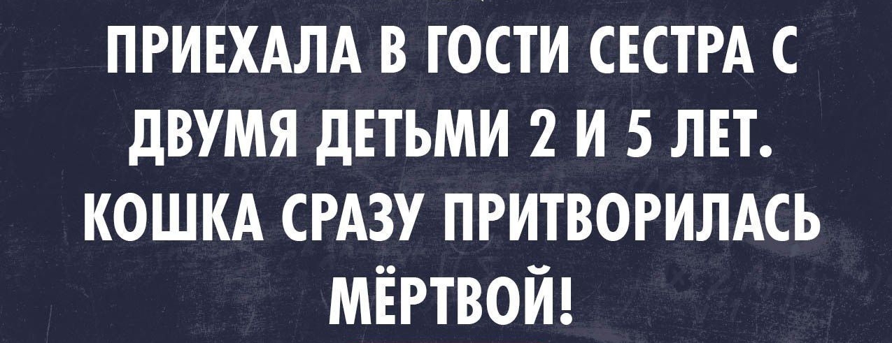 ПРИЕХАЛА В ГОСТИ СЕСТРА С дВУМЯ дЕТЬМИ 2 И 5 ЛЕТ КОШКА СРАЗУ ПРИТВОРИЛАСЬ МЁРТВОЙ