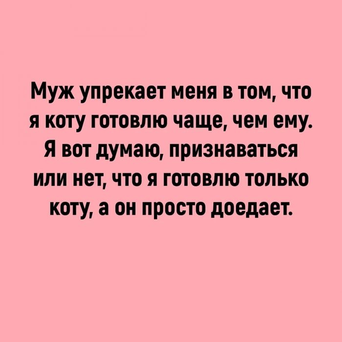 Муж упрекает меня в томчто я коту готовлю чащечем ему я вот думаю признаваться или нет что я готовлю только коту а он просто доедает