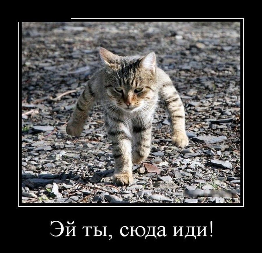 сюда Иди й ты Э