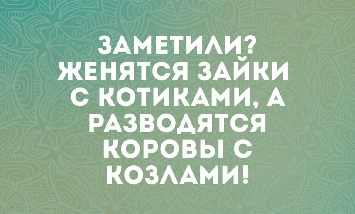 ЗАМЕТИАИЗ ЖЕНЯТСЯ ЗАИКИ С КОТИ КАМ И А РАЗВОАЯТСЯ КОРОВЫ С КОЗААМИ