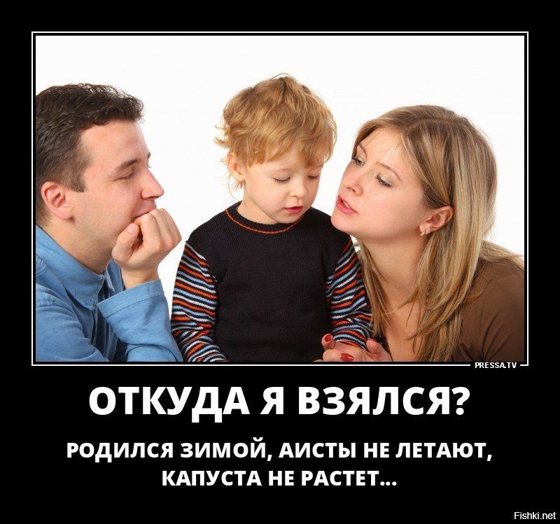 7 ОТКУДА Я ВЗЯЛСЯ РОДИЛСЯ ЗИМОЙ ЛИСТЫ НЕ ЛЕТАЮТ КАПУСТА НЕ РАСТЕТ