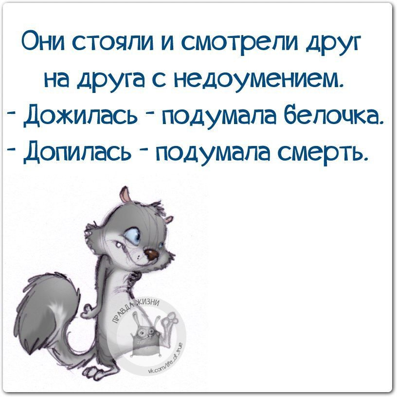 Они стояли и смотрели друг на друга с недоумением Дожипась подумала белочка Допипась подумала смерть