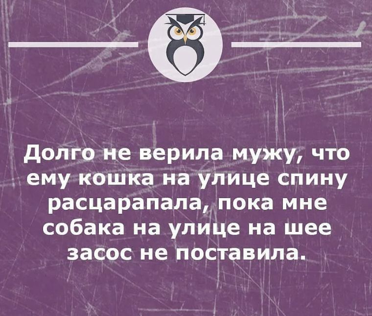 долго не верила мужу что ему кошка на уЬице спину расцарапала_ пока мне собака на улице на шее засос не Поставила 1птнцвстнпмов _