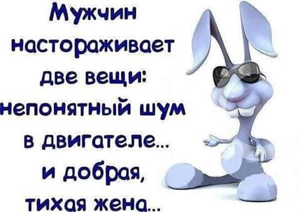 Мужчин настораживает две вещи непонятный шум в двигателе и добрая ТИХОЯ жена