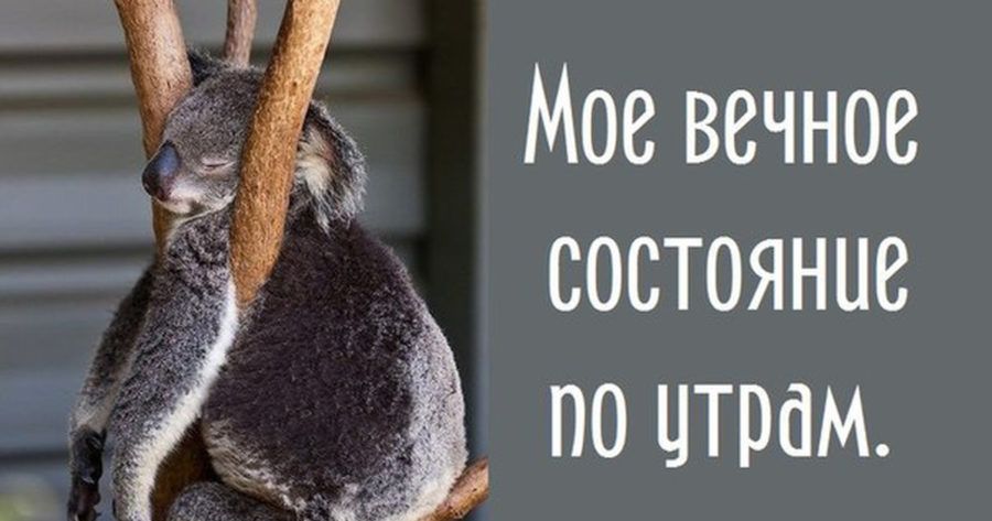 Мое вечное состояние ч по ЦТРЁМ