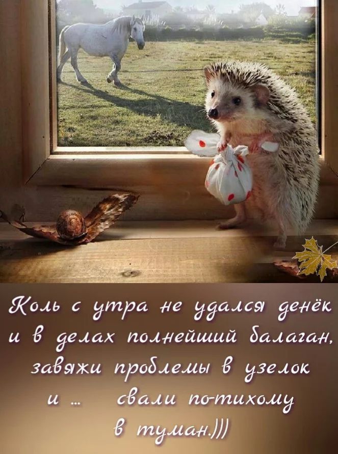Жаль утра че удался дети и делах полнейший Балтия тетки проблемы узелок