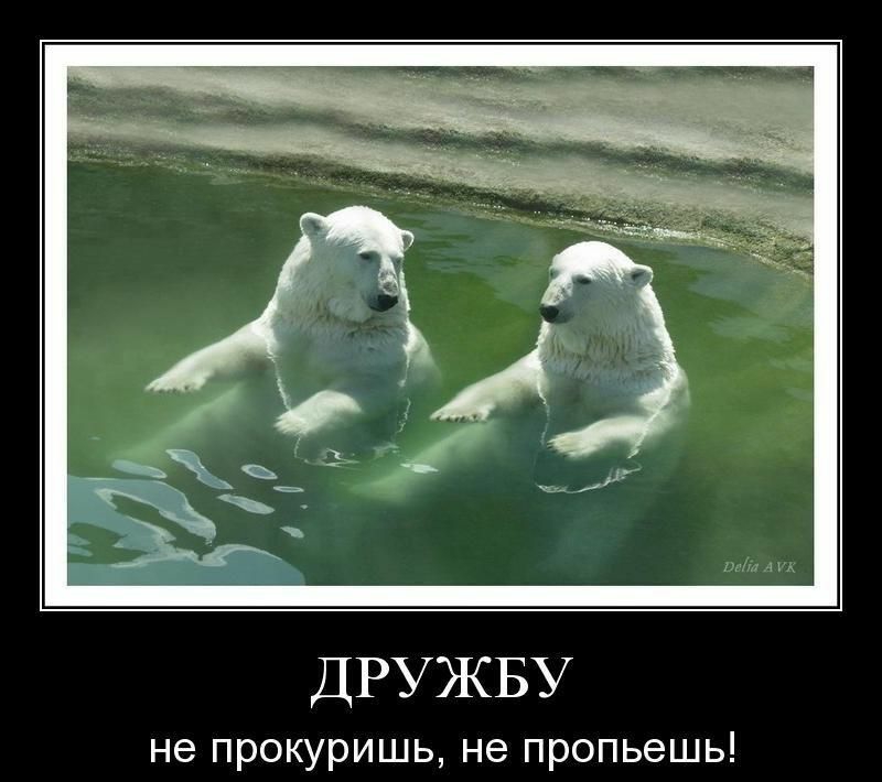ДРУЖБУ не прокуришь не пропьешь ты