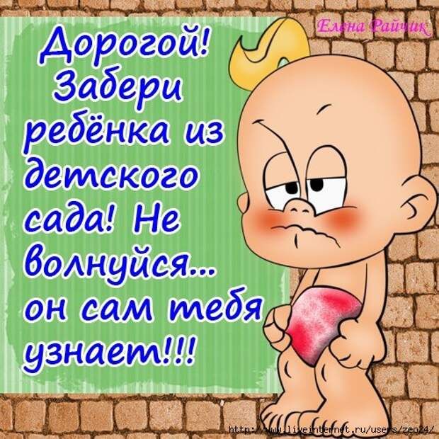 Дорогой Забери ребёнка из детского сада Не боднуйся он сам тебя узнает г ппц