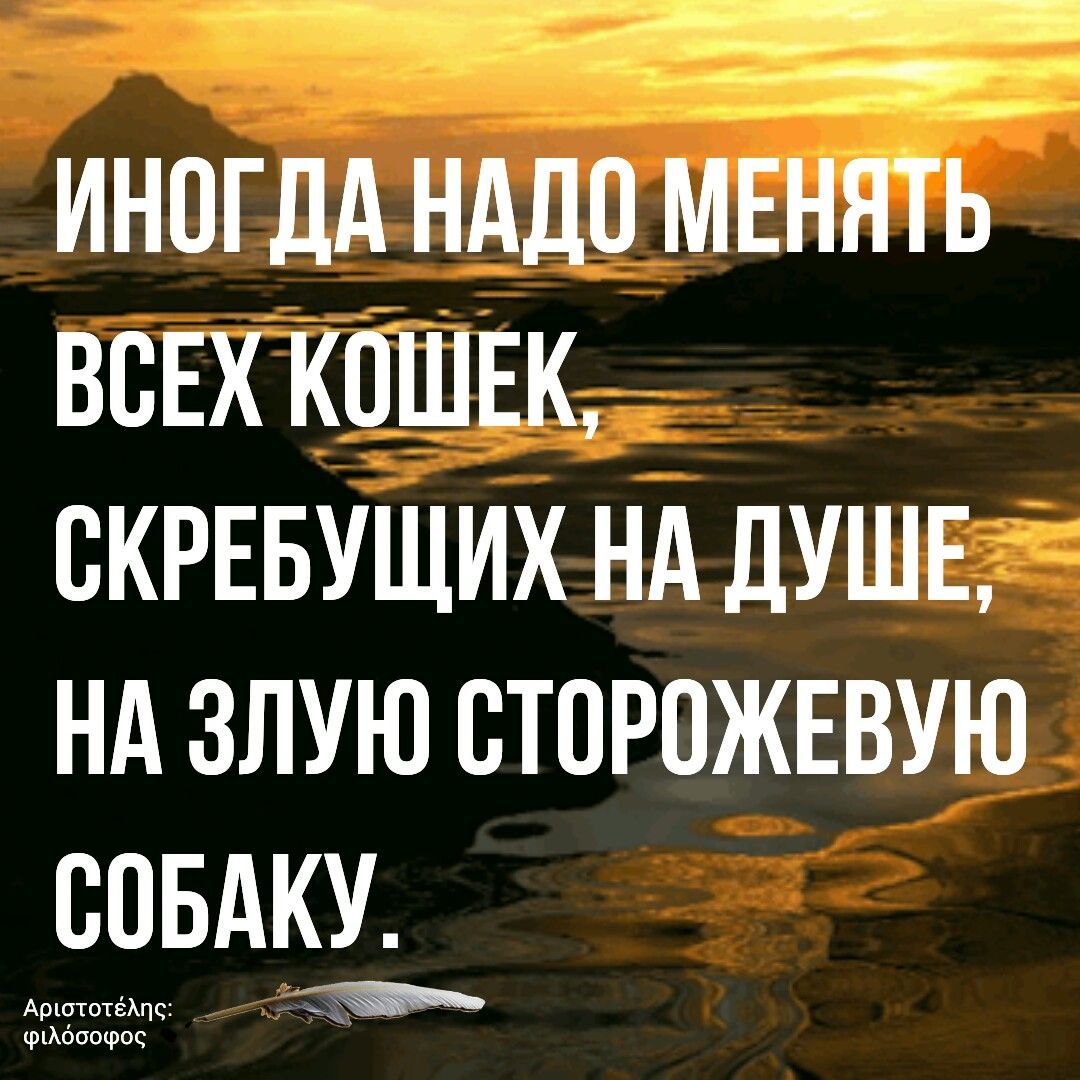 ИНОГДА НАДП МЕНЯТЬ ВСЕХ КПШЕК СКРЕБУЩИХ НА ДУШЕ НА ЗЛУЮ ВТПРПЖЕВУЮ СОБАКУ м