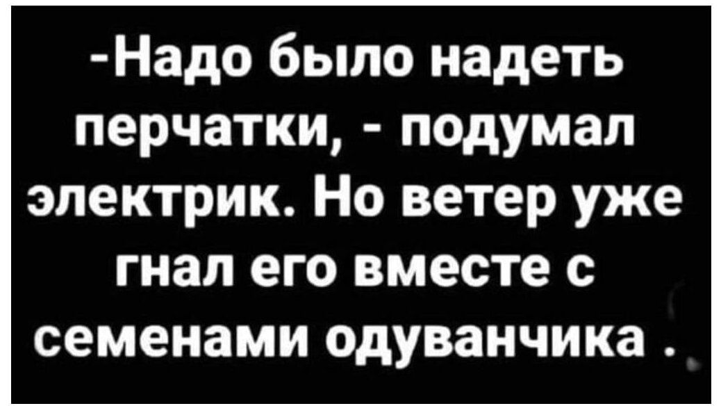 Надо было надеть перчатки подумал электрик Но ветер уже гнал его вместе с семенами одуванчика