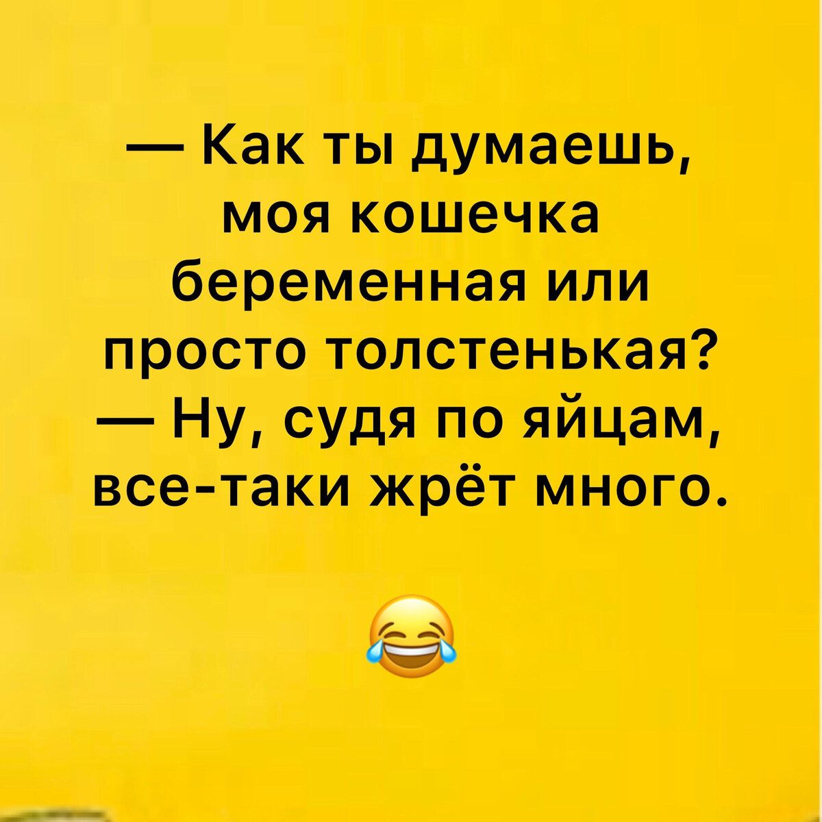 Как ты думаешь моя кошечка беременная или просто толстенькая Ну судя по яйцам все таки жрёт много У