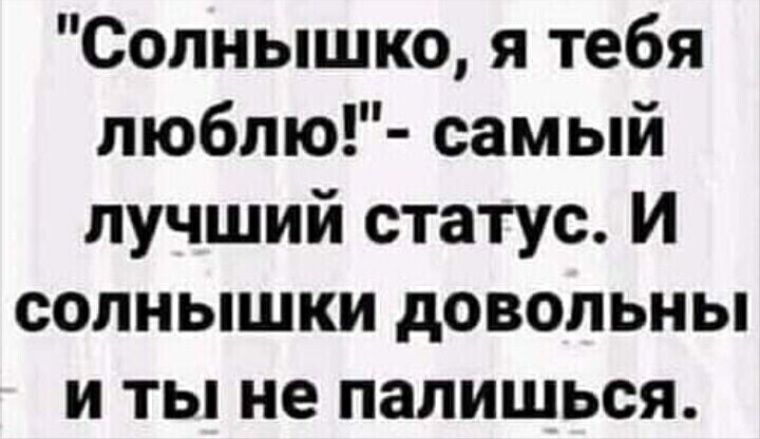 Солнышко я тебя пюблю самый лучший статус И солнышки довольны и ты не палишься