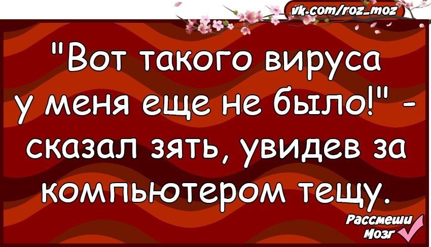 чик ищу Вот такого вируса у меня еще не было сказал зять увидев за компьютером тещу ш