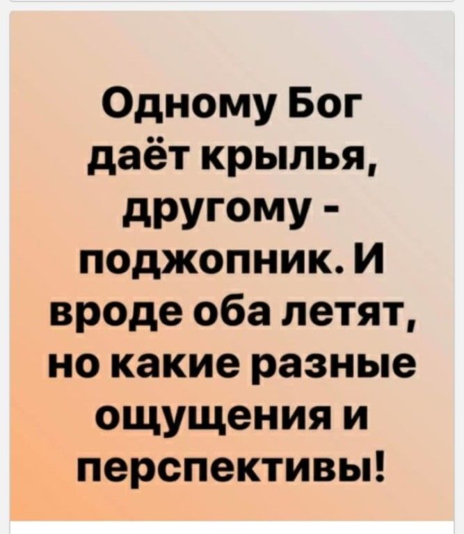Одному Бог даёт крылья дРУГОМУ поджопник И вроде оба летят но какие разные ощущения и перспективы