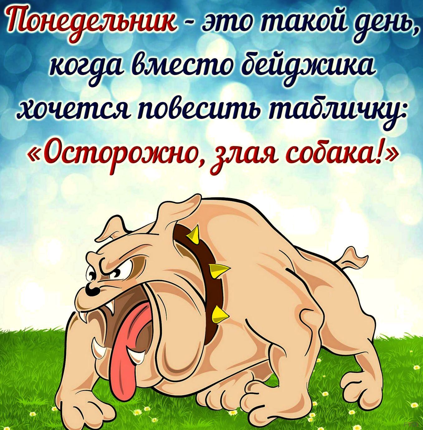 Понеушьнцк это такой день когда Вместо бейуэшиш хочется погасить табличку 0спюрожно упал собака
