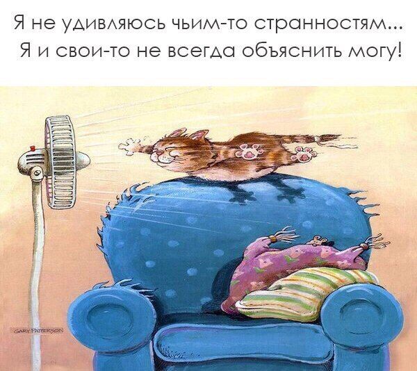 Я не уАимяюсь чьимйто стронностям Я и своийто не всегда объяснить могуі